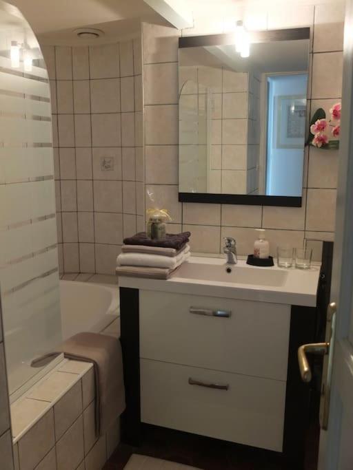 Charming Flat In Historical Centre Dijon Exterior foto