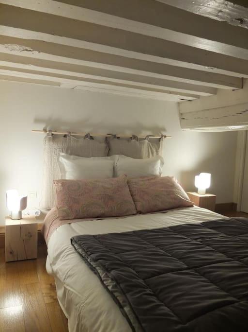 Charming Flat In Historical Centre Dijon Exterior foto